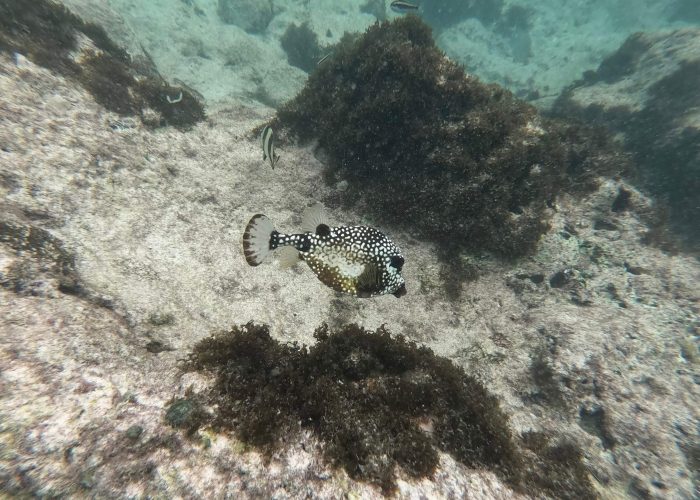 fish images taken by guest kim(1)