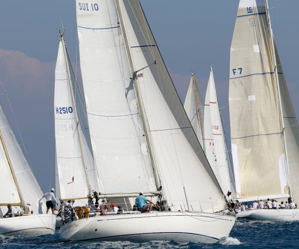 pexels-arnauld-van-wambeke-9600223